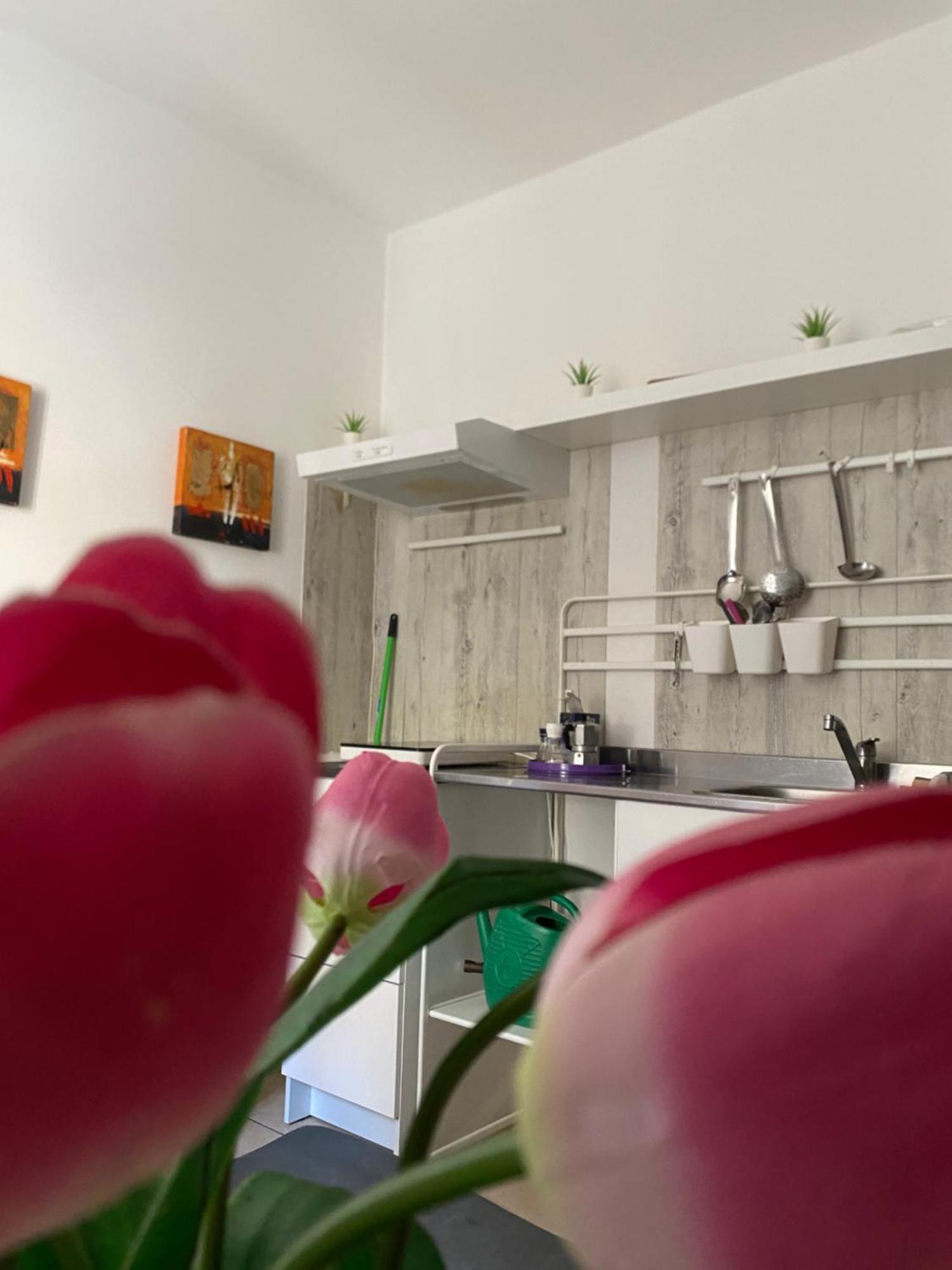 B&B Regina Carolina กัลตาจีโรเน ภายนอก รูปภาพ